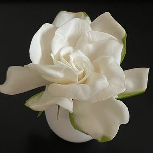 Meet your Posher, Krystal